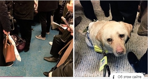 Blinder Mann gab seinem Diensthund den Befehl, einen Platz in der U Bahn zu suchen, aber niemand gab seinen Platz auf